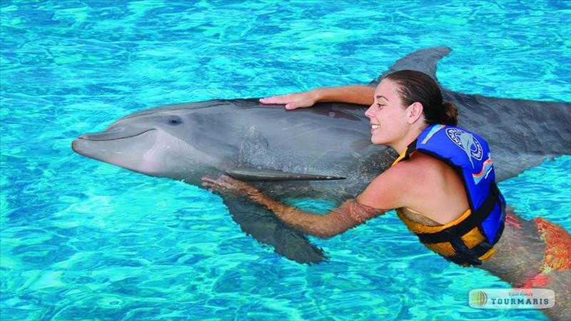 Swimming with dolphins in Marmaris