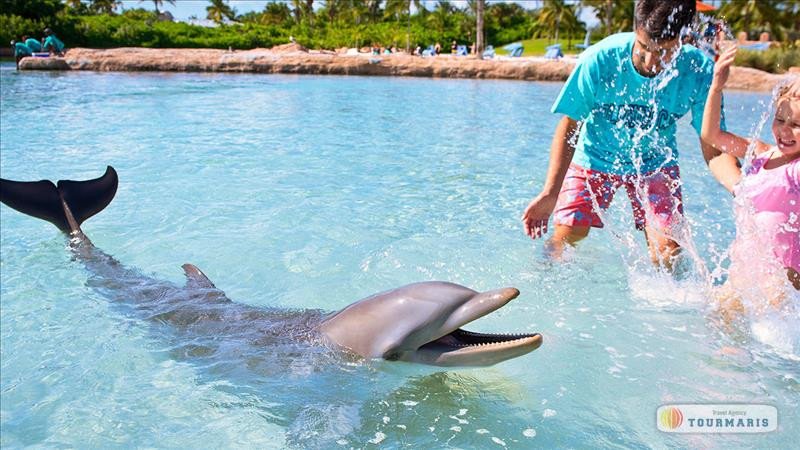 Swimming with dolphins in Marmaris
